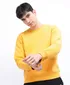 pan2022078amberyellow1jpg