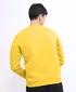 pan2022078amberyellow2jpg