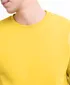 pan2022078amberyellow3jpg