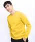 pan2022078amberyellow4jpg