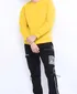 pan2022078amberyellow5jpg