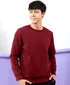 pompeianredmenroundnecksweatshirt1jpg